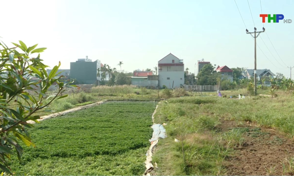 Bản tin Hải Ph&ograve;ng h&ocirc;m nay (12/01/2025)