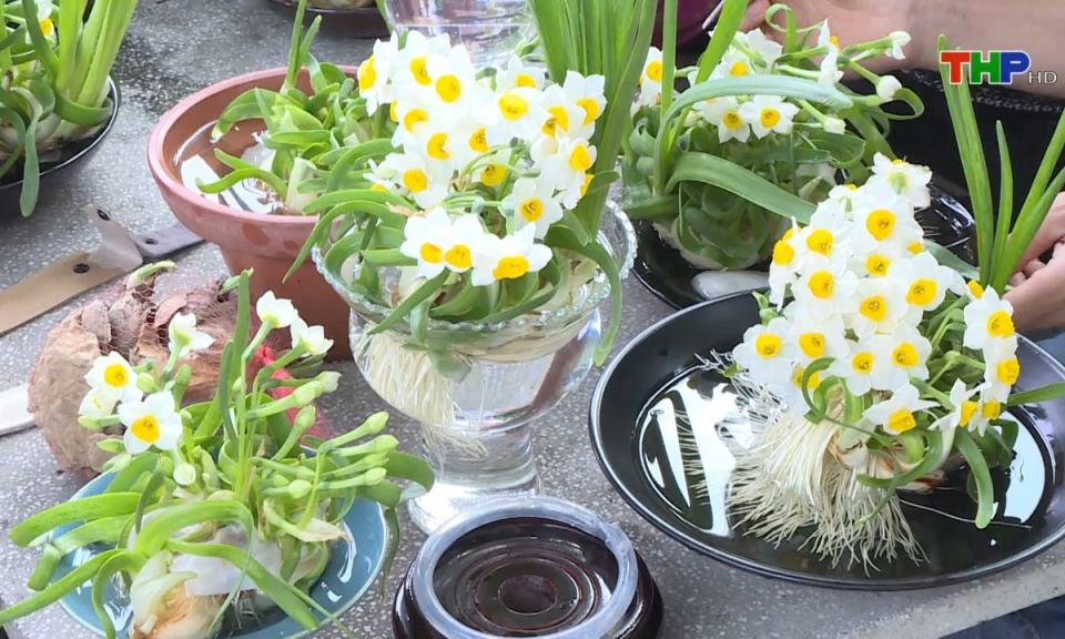 &Acirc;m vang miền cửa biển: Tao nh&atilde; thủy ti&ecirc;n