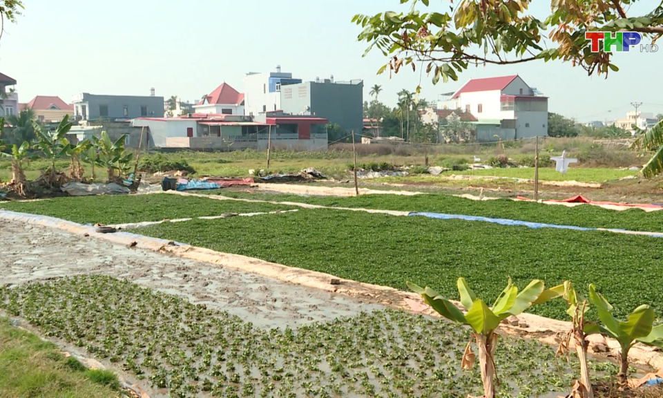 Th&aacute;o gỡ vướng mắc cho c&aacute;c dự &aacute;n BĐS dưới 20 ha