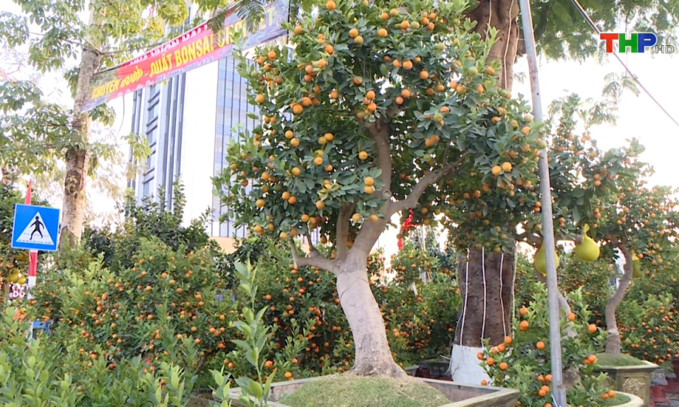 Bản tin tiếng Trung (12/01/2025)