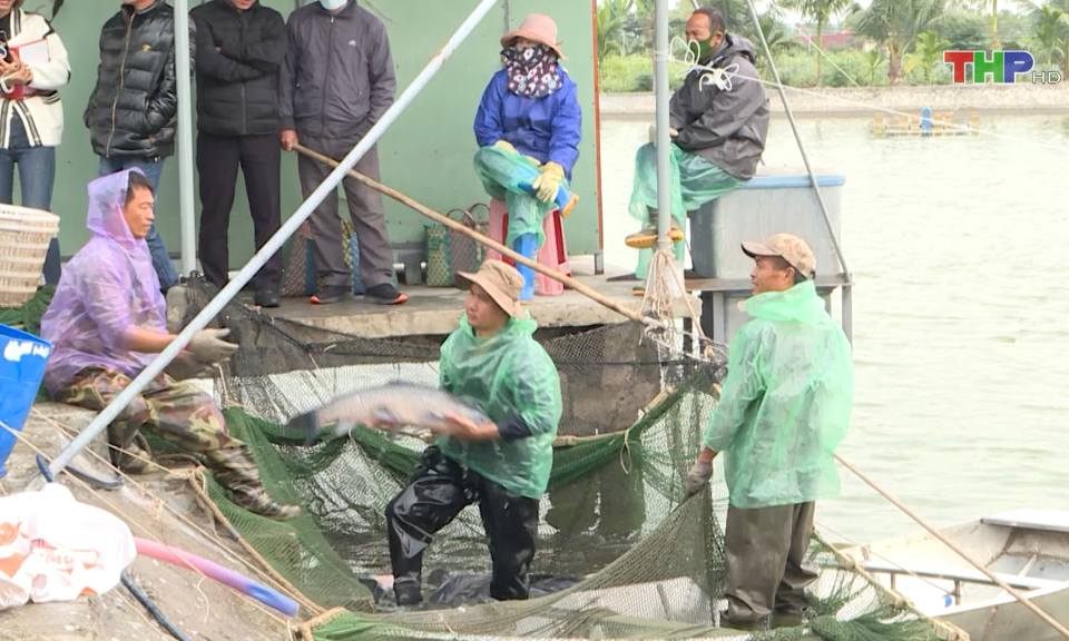 Hiệu quả t&aacute;i cơ cấu n&ocirc;ng nghiệp