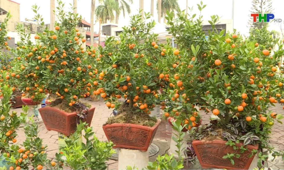 10 ph&uacute;t v&agrave;ng (17/01/2025)