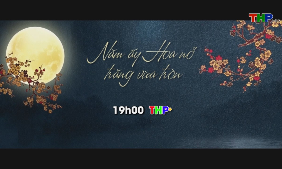 Giới thiệu phim tuần 4 th&aacute;ng 1/2025