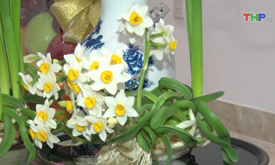 Th&uacute; chơi Hoa thủy ti&ecirc;n  