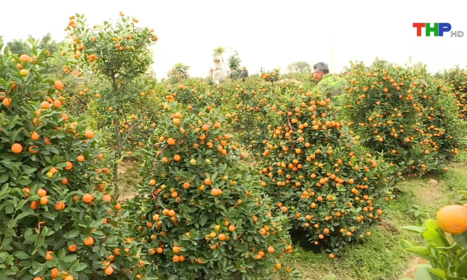 10 ph&uacute;t v&agrave;ng (19/01/2025)