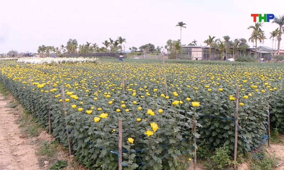 Bản tin thời sự s&aacute;ng (20/01/2025)