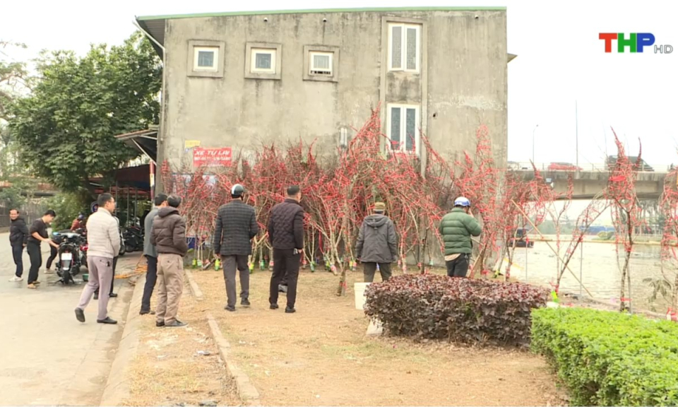 Bản tin thời sự s&aacute;ng (21/01/2025)