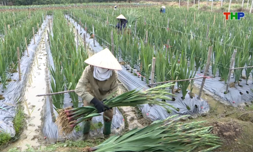 Bản tin thời sự tối (20/01/2025)