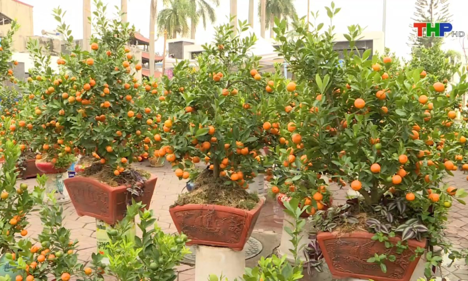 Bản tin Hải Ph&ograve;ng h&ocirc;m nay (21/01/2025)