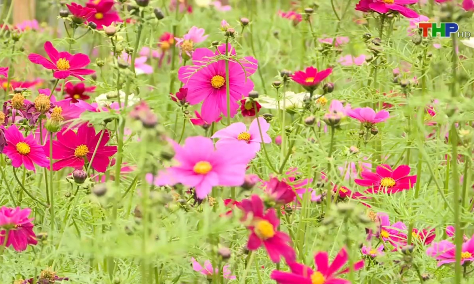 10 ph&uacute;t v&agrave;ng (21/01/2025)