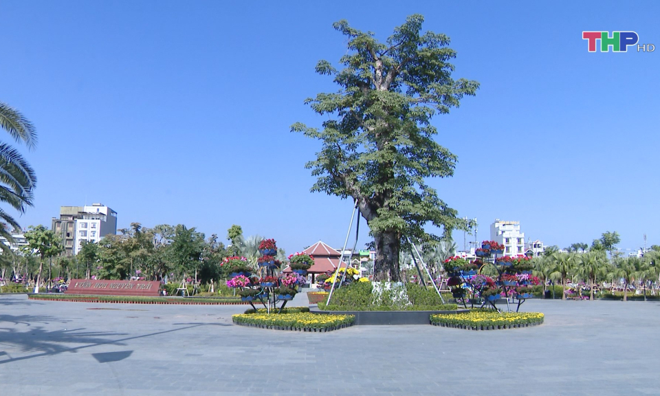 Cơ bản ho&agrave;n th&agrave;nh trang tr&iacute; hoa xu&acirc;n  