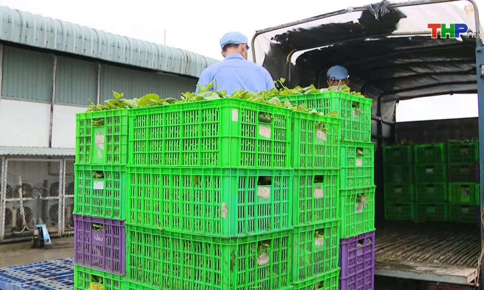 Bản tin tiếng Anh (23/01/2025)