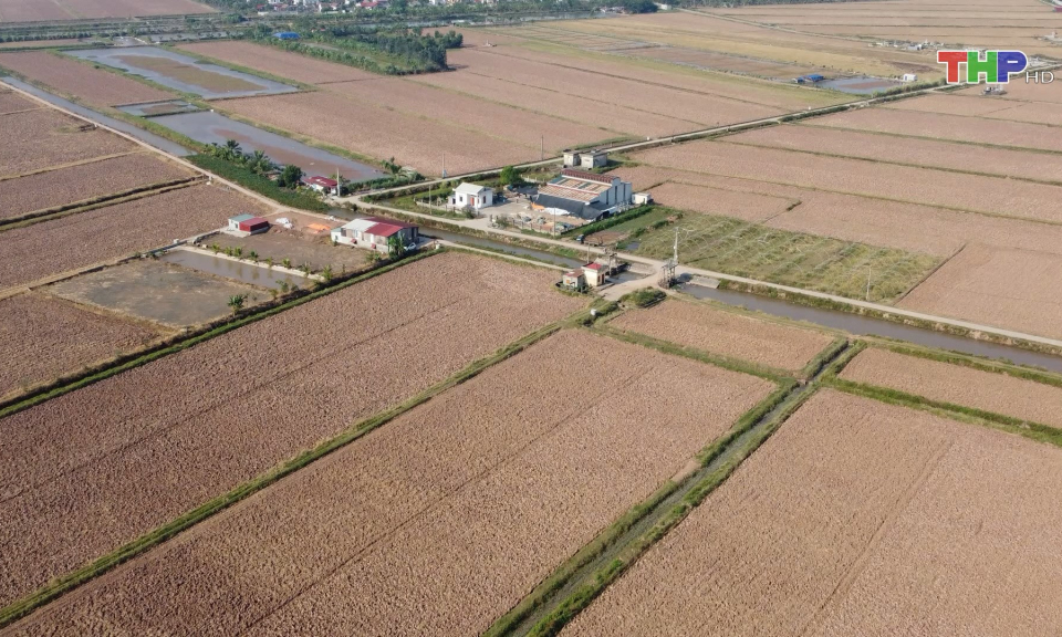 Vai tr&ograve; của &ldquo;đại điền&rdquo; trong sản xuất n&ocirc;ng nghiệp