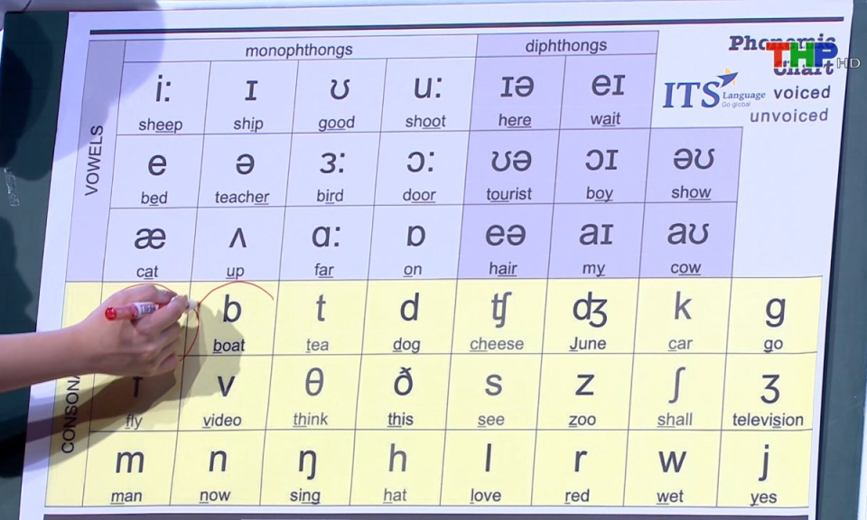 Vitamin tuổi hồng: Luyện ph&aacute;t &acirc;m tiếng Anh chuẩn