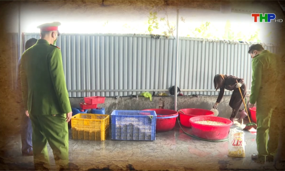 Ph&aacute;p luật v&agrave; cuộc sống: Ph&ograve;ng ngừa, đấu tranh với c&aacute;c vi phạm vệ sinh an to&agrave;n thực phẩm dịp Tết Nguy&ecirc;n đ&aacute;n 2025