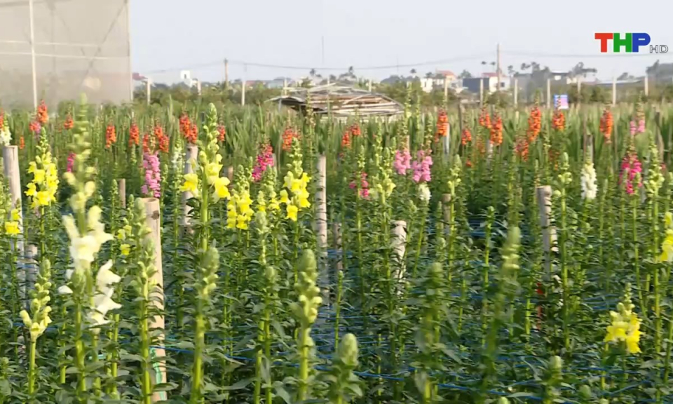 Bản tin thời sự s&aacute;ng (26/01/2025)