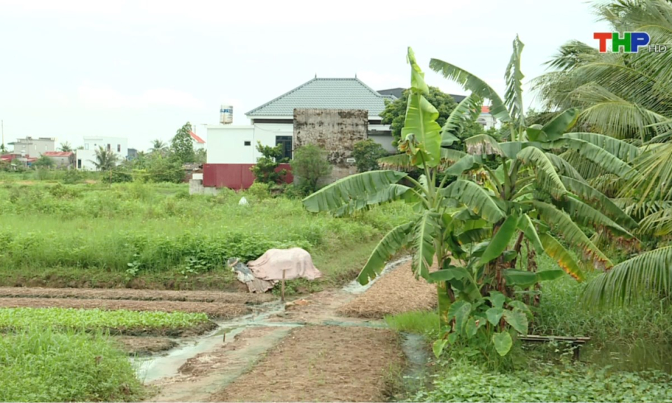 Hộp thư truyền h&igrave;nh: Kiến nghị về việc cấp sổ đỏ