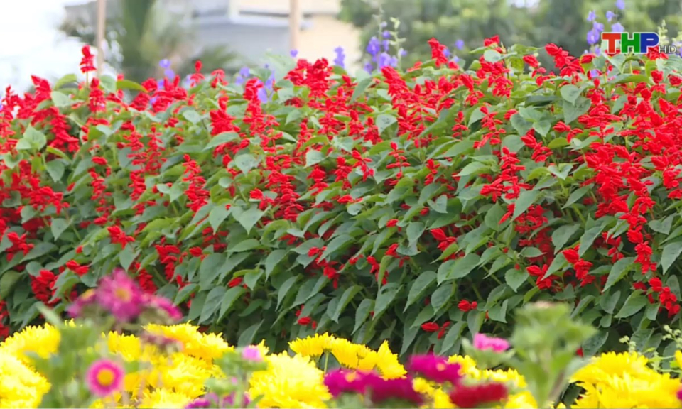 10 ph&uacute;t v&agrave;ng (27/01/2025)