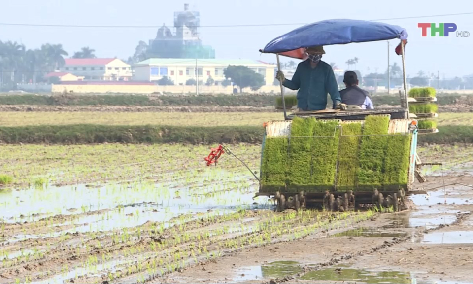Bản tin thời sự trưa (28/01/2025)