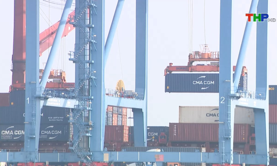 Bản tin tiếng Anh (31/01/2025)