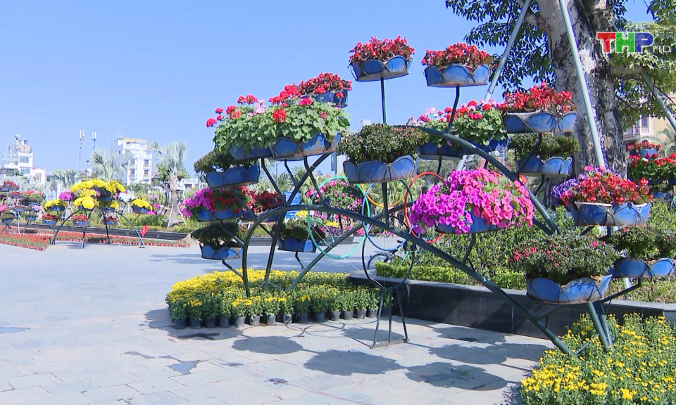 Chăm s&oacute;c hoa xu&acirc;n  