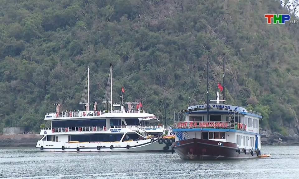 Bản tin thời sự tối (01/02/2025)