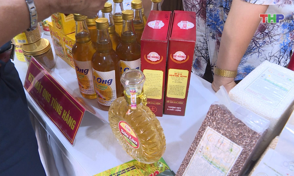 Hỗ trợ HTX, doanh nghiệp ph&aacute;t triển bền vững