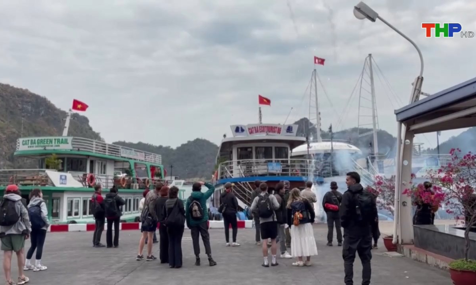 Bản tin tiếng Anh (02/02/2025)