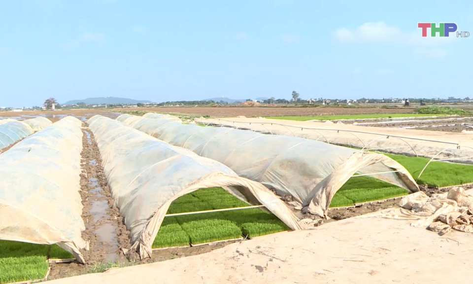 Bản tin thời sự trưa (03/02/2025)