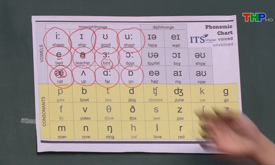 Vitamin tuổi hồng: B&eacute; học tiếng Anh