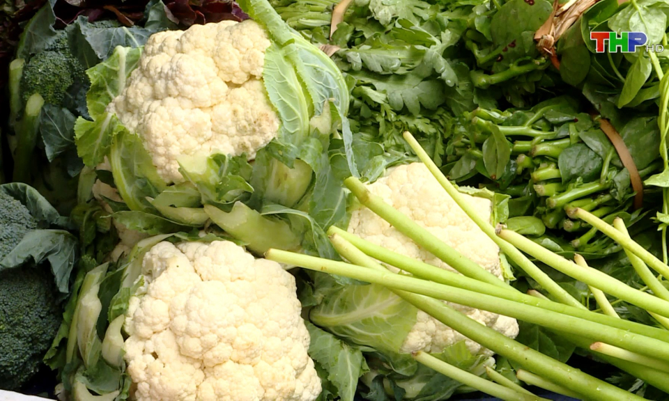 B&igrave;nh ổn thị trường rau xanh  