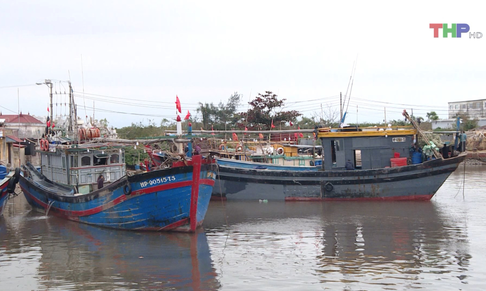 Sẵn s&agrave;ng cho những chuyến đi biển đầu năm