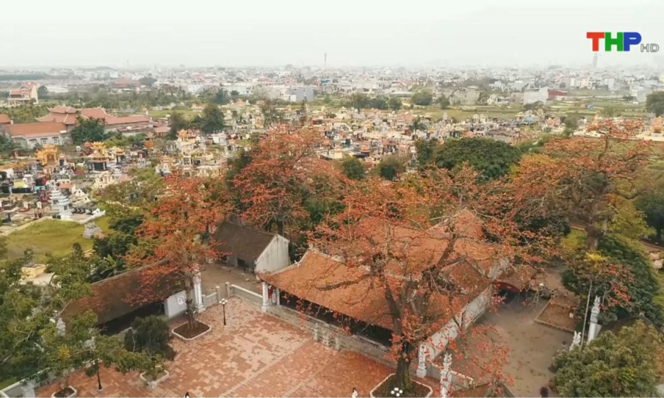 Điểm hẹn du lịch: Photo tour Ất Tỵ