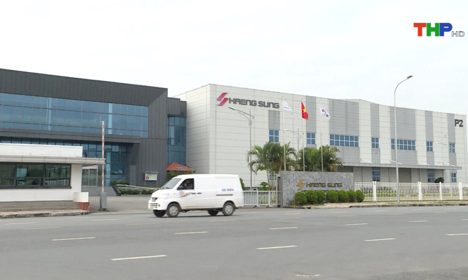 Bản tin Hải Ph&ograve;ng h&ocirc;m nay (08/02/2025)