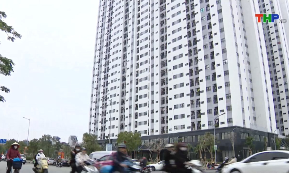 Bản tin Hải Ph&ograve;ng h&ocirc;m nay (10/02/2025)