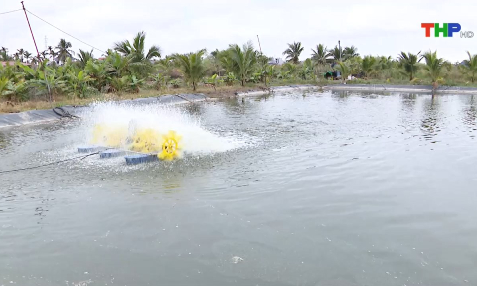 Bản tin thời sự s&aacute;ng (11/02/2025)