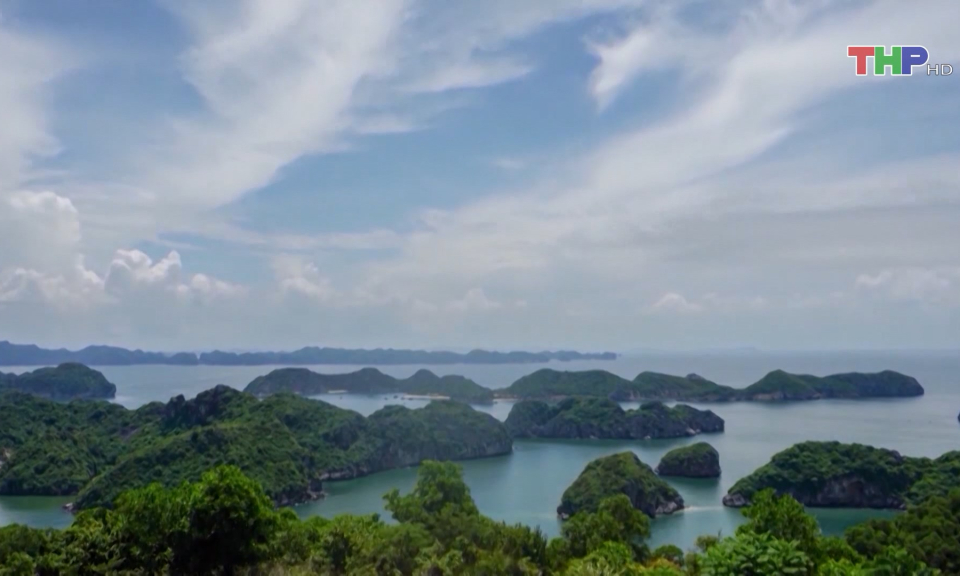 Chuyển đổi xanh trong du lịch C&aacute;t B&agrave;