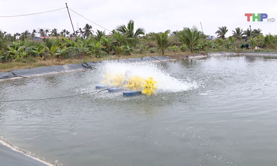 Ph&aacute;t huy hiệu quả chuyển đổi cơ cấu sản xuất