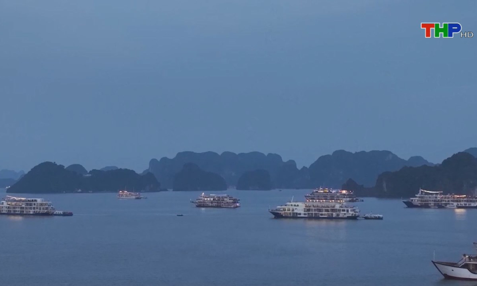 Bản tin tiếng Anh (11/02/2025)