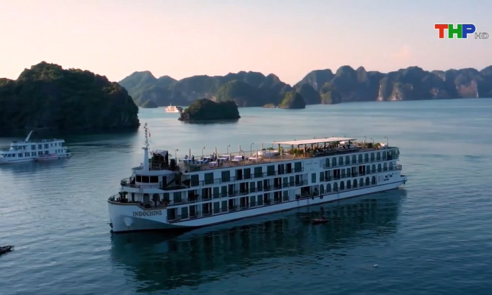 Bản tin tiếng Anh (13/02/2025)