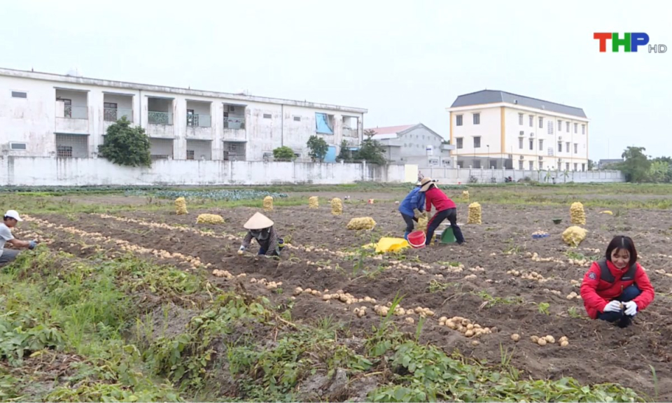 Bản tin thời sự s&aacute;ng (15/02/2025)