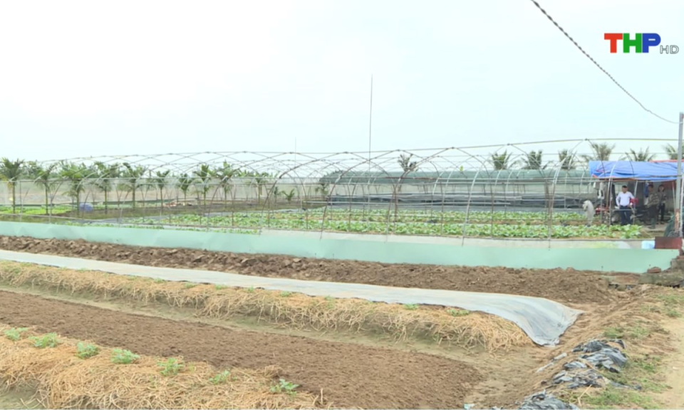 Bản tin Hải Ph&ograve;ng h&ocirc;m nay (15/02/2025)