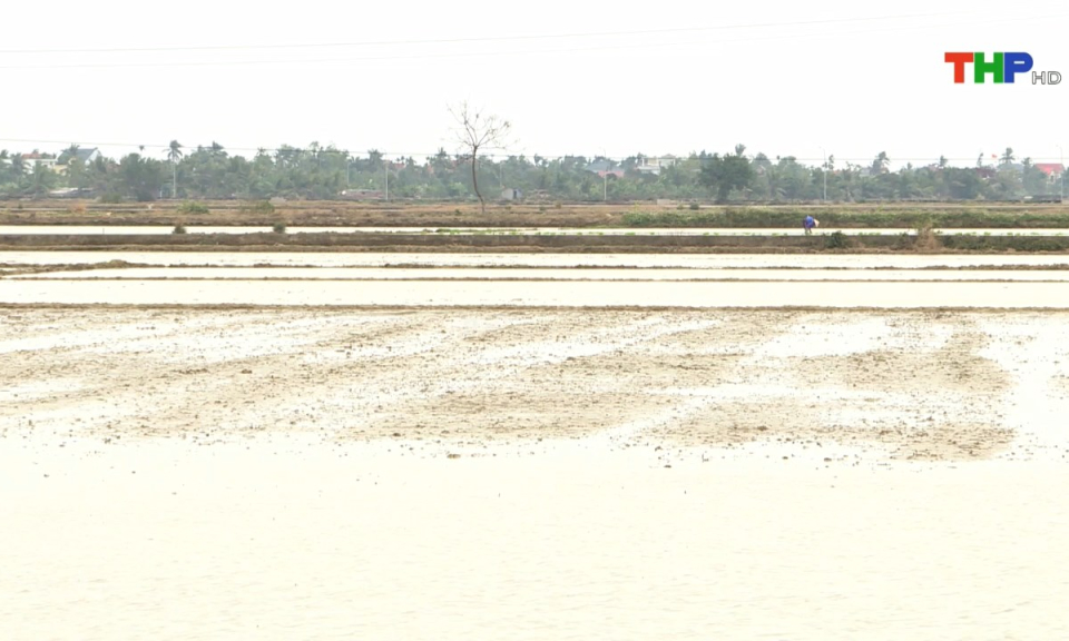 Bản tin thời sự s&aacute;ng (16/02/2025)