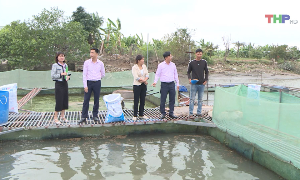 Hỗ trợ ph&aacute;t triển kinh tế, giảm ngh&egrave;o bền vững