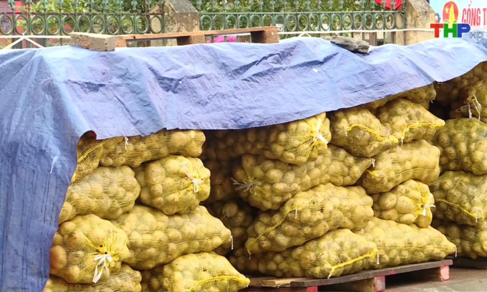 10 ph&uacute;t v&agrave;ng (16/02/2025)