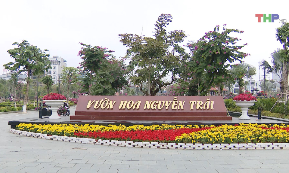 Th&aacute;o dỡ hoa trang tr&iacute; sau Tết