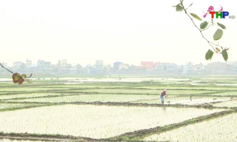 10 ph&uacute;t v&agrave;ng (21/02/2025)