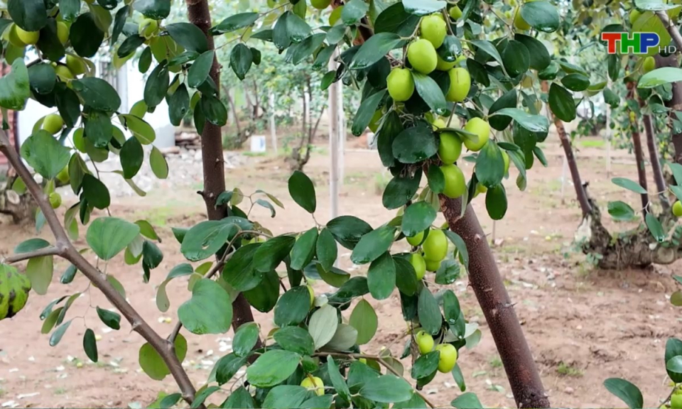 Bản tin thời sự s&aacute;ng (22/02/2025)