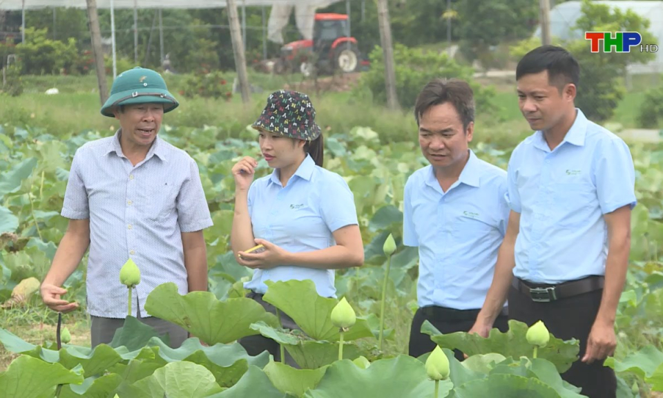 N&ocirc;ng th&ocirc;n mới Hải Ph&ograve;ng: X&acirc;y dựng hệ thống khuyến n&ocirc;ng cộng đồng vững mạnh