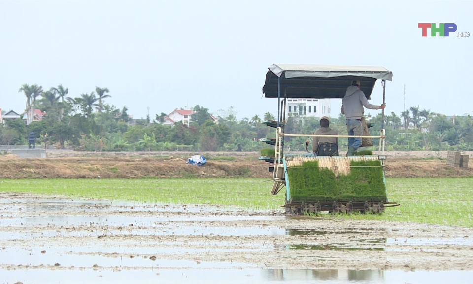 Bảo đảm tiến độ Vụ Xu&acirc;n